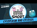 Understanding Cytoplasm and Cytosol