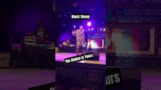 "The Choice is Yours" by Black Sheep 8-25-25 Live at Eisenhower Park #blacksheep #dres