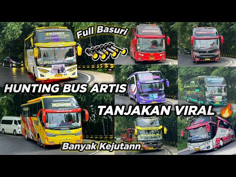 MOMEN EPIC !!!  HUNTING BUS ARTIS BASURI DI TANJAKAN VIRAL TEPUNG K4NJUT‼️ FULL BASURI