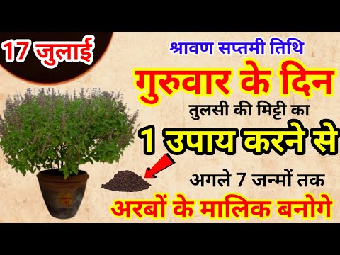 17 जुलाई गुरुवार श्रावण सप्तमी के दिन तुलसी की मिट्टी से करें ये 1 उपाय // Pradeep Ji Mishra