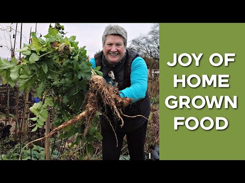 Amazing Parsnip Harvest | Abundance in practice