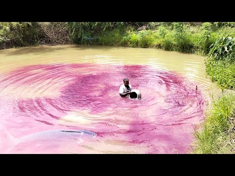 Medicine for fish farming