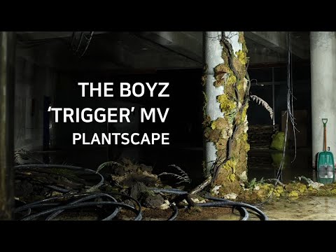 식물로 더보이즈 뮤비 'TRIGGER' 연출 하기 | Setting up The Boyz 'TRIGGER' music video with plants.