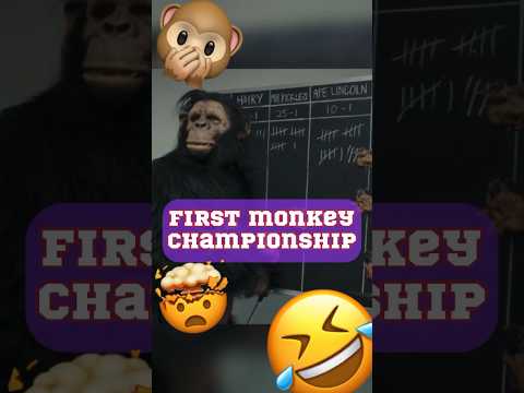 These apes are just like you?? #films #moments #movie #cinema #film #clips #tiktok