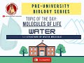 Water Molecule Properties and Structure