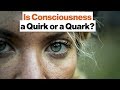 Understanding Consciousness