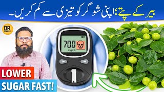 Ber Ke Patte Ke Fayde! | Hi Sugar Ka Tez Control | Dr. Ibrahim