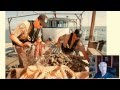 Gulf of Mexico Environmental Impact