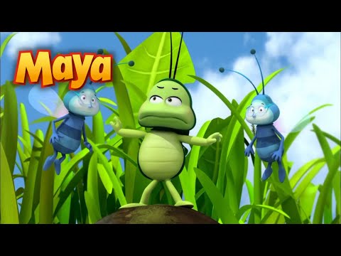 AMAR A LOS BICHOS ESTÁ DE MODA🐛🪲🐝 CAPÍTULOS DE MAYA para niños en ESPAÑOL 🐝