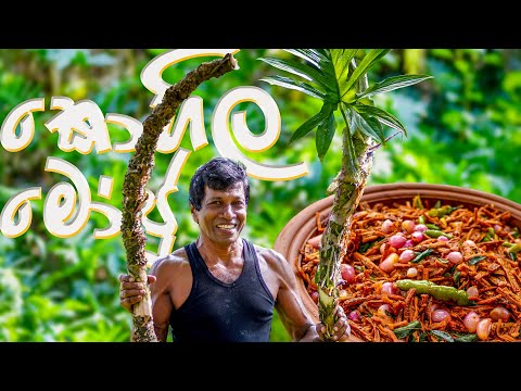 පට්ට රස කොහිල මෝජුව, ගමේ කෑමක්! Lasia Stalk (Kohila) pickle, A traditional village food for Lunch