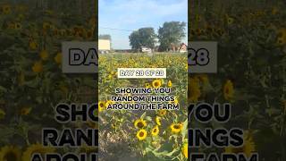 See where we grow all of your food! #farming101 #vegetablefarming #hollandmichigan