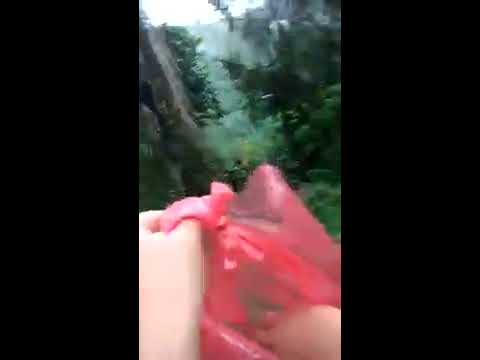 Omg kaget, raja monyet keluar dari pegunungan!!!