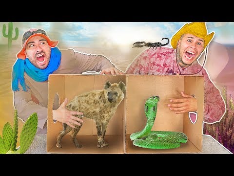 What's in the Box FORT Challenge ? (LIVE ANIMALS)