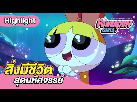 สิ่งมีชีวิตสุดมหัศจรรย์ | เดอะ พาวเวอร์พัฟฟ์เกิลส์ 2016 | Boomerang CN Thailand