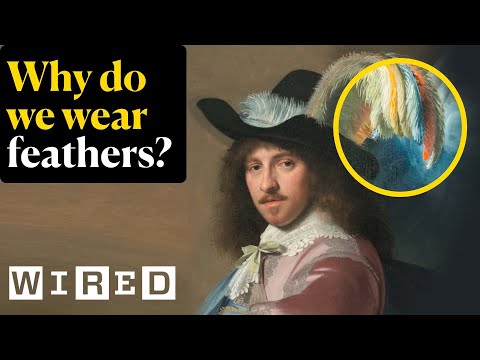 Biologist Explains the Unexpected Origins of Feathers in Fashion