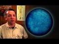 Food Webs and Ecosystem Dynamics
