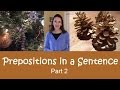 Conciseness in Writing Techniques