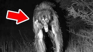 Criaturas Míticas Que Existem De Verdade – Parte 2