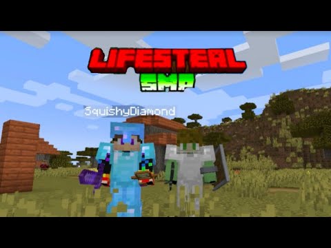 I joined a LifeSteal SMP recreation