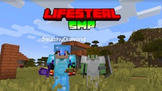 I joined a LifeSteal SMP recreation