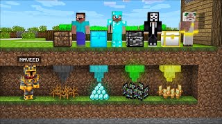 Minecraft DON'T TOUCH THE FORBIDDEN CHEST FROM NOOB VS PRO VS HACKER MOD !! Minecraft Mods