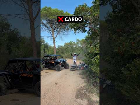 ❌ CARDO vs ✅ CARDO
