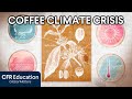 Impact of Climate Change on Coffee Production