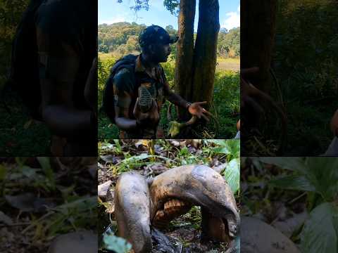 ആനയുടെ പല്ല് കണ്ടാൽ അതിന്റെ വയസ്സ് അറിയാൻ കഴിയുമോ? Experience of a forest watcher