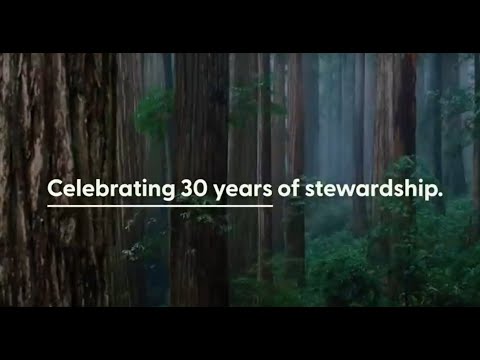 Forest Stewardship Council (FSC) launches Interim Forest Stewardship Standard to boost responsible forest management in Ethiopia