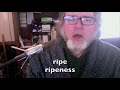 Understanding Key Concepts of Kindness and Leadership