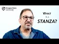Understanding Stanzas and Their Functions