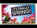 Spring Animal Behavior and Plant Growth