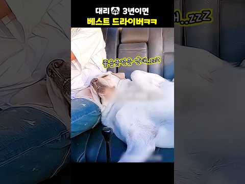 대리 3년이면 베스트 드라이버ㅋㅋ
