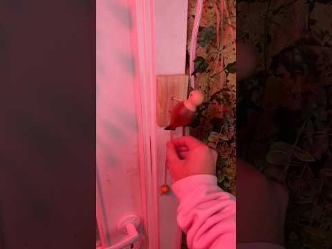 From Horror Doorbell Sound to Calm 😱😌