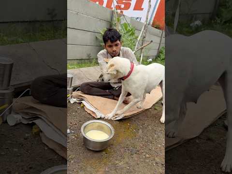गरीब चाय वाला 🥹 #comedy #funny #shortsfeed #viral