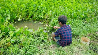 Fishing Video Il The skilled fisherman spends most of the day fishing with a hook || Hook fishing