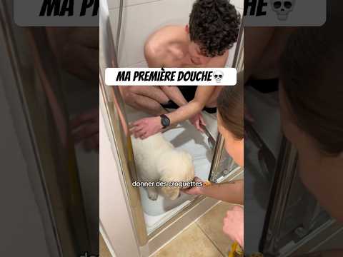 Désolé @booderofficiel8185 rien de personnel ❤️ #chien #goldenretriever #humour #animaux #pets