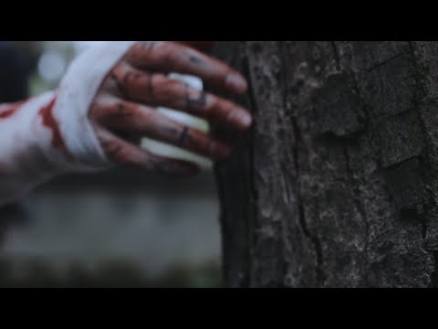 zxcursed - blessed