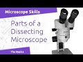 Features and Functions of Stereo Microscopes