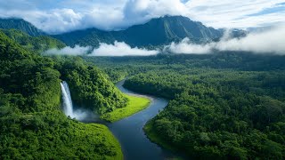 Piano Relaxing Music 🍀 Study Piano Music 🍀 Piano  For Stress Relief 🍀 Music For Studying