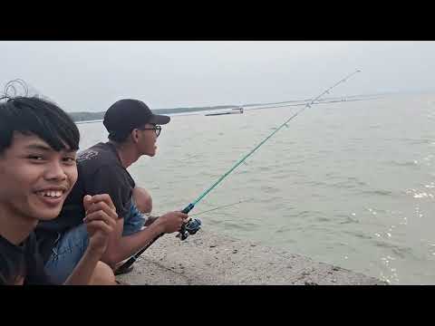 EXCELLENT FISHING SPOT #fishing
