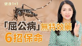屈公病又稱基孔肯雅熱在亞洲爆發！4大高危族群防蚊自救必看！｜健康1+1 · 影片