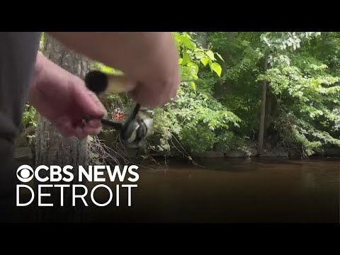 YouTube video thumbnail: Wild Caught Fish Found With Forever Chemicals, Michigan Officials Issue "Do Not Eat" Advisory