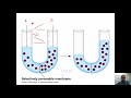Exploring Diffusion and Osmosis Challenges