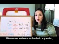 Question Formation and Daylight Saving Time