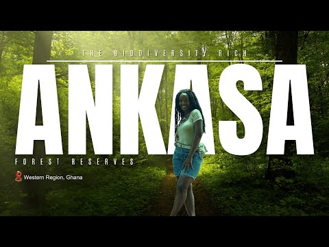 Explore The Wonders of Ankasa Reserve