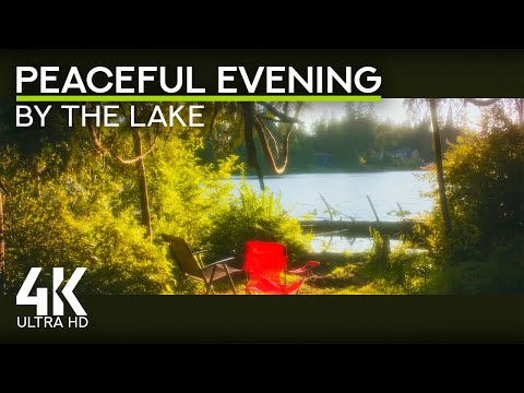 Forest Lake Ambience 4K - Peaceful Evening by the Water with Calm Birds Sounds for Work & Study