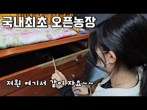 24시간 같이 자면서 관리하는 국내최초 농장 오픈하였다네요..ㄷㄷ