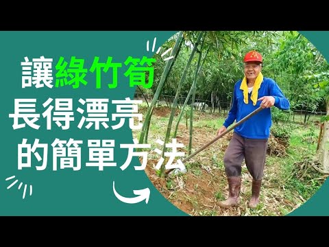 綠竹筍長得漂亮的方法 How to add soil on bamboo - YouTube(3:05)