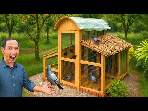 Start up a late life career with a pigeon farming model